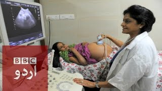 The Surrogate Mothers of India  BBC Urdu [upl. by Aenat]