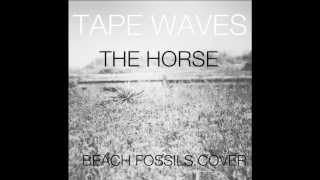 Tape Waves The Horse Beach Fossils Cover [upl. by Nyliret]