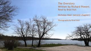 The Overstory 2nd Chapter Nicholas Hoel Book written by Richard Powers As read by Brad Huit [upl. by Ani]