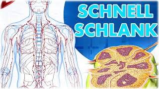 Lymphödem bekämpfen 5 Min täglich zur Gewichtsreduktion durch diese neuen Lymphödem Übungen [upl. by Mis5]