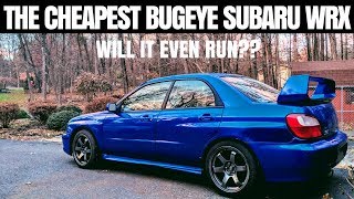 I Bought the CHEAPEST Subaru WRX in the country  Am I CRAZY [upl. by Nnylireg]