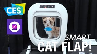 CES 2024  This AI Powered Cat Flap Keeps Dead Mice Out of Your House  Flappie [upl. by Ause488]