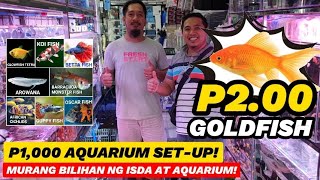 CARTIMAR PETSHOP BILIHAN MURANG ISDA AT AQUARIUM GOLDFISH 2 PESOS ONLY P1000 AQUARIUM SETUP [upl. by Verena]