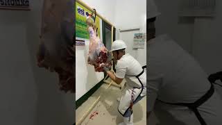 deboning of beef hindquarter [upl. by Yelserp]