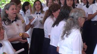 MAD JÚLIA CANTA ANTÔNIO GOMES NA FLOR DE JAGUBE [upl. by Olwen]