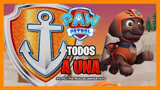 Salva la Bahía 😱🐶 PATRULLA CANINA TODOS A UNA  Capítulos Español Clan [upl. by Scutt]