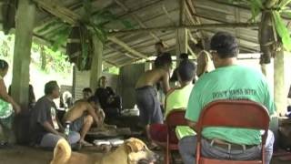 FSM  Pohnpei  Kinakapw Yam Harvest Ceremony [upl. by Couture]