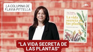 La vida secreta de la plantes la recomendación literaria de Flavia Pittella [upl. by Tomlin]