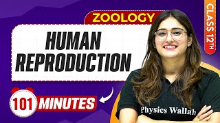 Human Reproduction in 100 Minutes  Class 12th Zoology  Mind Map Series [upl. by Eselrahc]