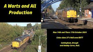 Hull area Colas class 37s on RHTT 14th and 17th October 2024 at Cottingham Brough and Anlaby Curve [upl. by Kiona]