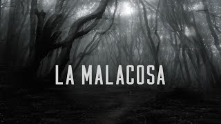 LA MALACOSA Documentario [upl. by Elconin]