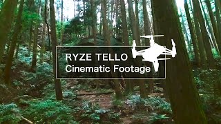 DJI Ryze Tello Cinema 16 [upl. by Eux]