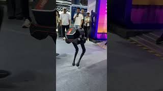 Robot Dogs Stability robot dog robotdog technology trendingshorts trending china tesla [upl. by Allecram290]