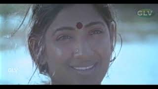 Nadhi Odum Karaiyoram Song  Avarampoo Movie Songs  VineethNandhini  S Janaki  Ilayaraja [upl. by Irik498]