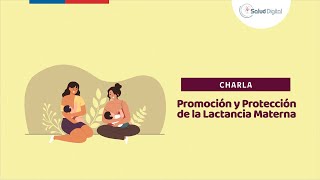 23042024 Promoción y Protección de la Lactancia Materna [upl. by Yelknirb]