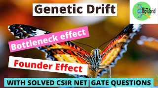 Genetic Drift In Hindi  Bottleneck Effect  Founder Effect  CSIR NET  GATE  Evolution [upl. by Yrtsed570]