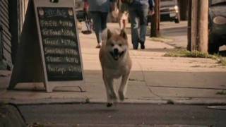 Hachiko A Dogs Story Trailer Japanese version [upl. by Ecydnarb995]