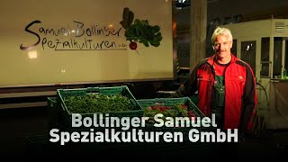 Bollinger S Spezialkulturen – Bgrüssung [upl. by Ahsienek850]