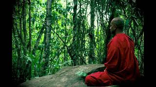 Letting go meditation  Buddha Dhamma  Theravada Buddhism [upl. by Shell]