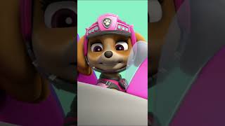 PAW Patrol  La Pat Patrouille  Skye sauve un bébé dinosaure  🦕👶 Shorts [upl. by Si280]