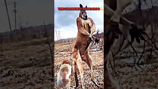 kankalliek skibiditoilet pubgfunny video subscribelieke [upl. by Criswell]