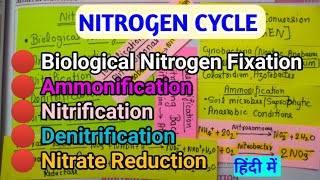 नाइट्रोजन साइकिल सारा कन्फ्यूजन खत्म  nitrogencycle [upl. by Alena]