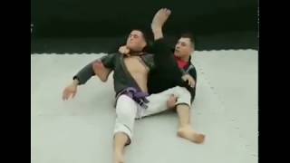 arco y flecha jiu jitsu arco y flecha Bow and Arrow Choke [upl. by Felicle356]