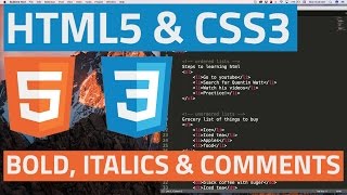 HTML5 and CSS3 beginner tutorial 5  Bold italics and comments [upl. by Quenna441]