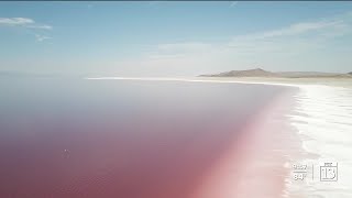 Uniquely Utah The pink shores of the Great Salt Lake [upl. by Katharyn]