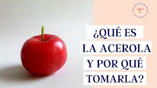 🍒 ¿Qué es la ACEROLA y por qué tomarla  Propiedades y Beneficios  Fruta más rica en vitamina C [upl. by Towill]