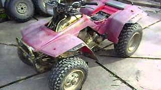 HONDA TRX 250 FOURTRAX [upl. by Ebsen77]