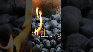 Lump Charcoal vs Briquettes  Choice Is Yours SHORTS CHARCOAL [upl. by Nylidam]