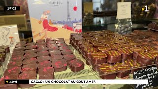 Hausse du cours mondial du cacao le chocolat devrait plus cher [upl. by Anaxor]