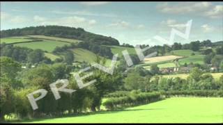 CLIP 1 Enterprise Case Study Tyrrells Crisps [upl. by Akiraa662]