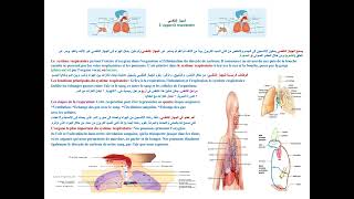 الجهاز التنفسي Lappareil respiratoire [upl. by Brott]