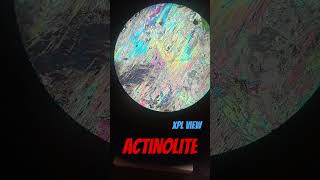 ACTINOLITE mineral under a microscope mineralogy opticalmineralogy [upl. by Gilbertina]