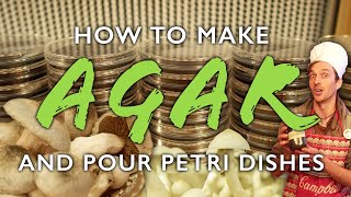 How to Make Agar Media and Pour Petri Dishes for Mushroom Cultivation [upl. by Mae]