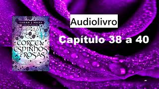 Audiolivro  Audiobook  Livro 1  Corte de Espinhos e Rosas ACOTAR  Cap 38 a 40 [upl. by Assillem]