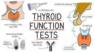 Understanding Thyroid Function Tests [upl. by Nylg]