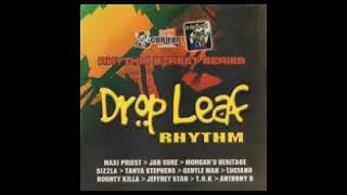 DROP LEAF RIDDIM 2005 MIXED DJ CORLEONA [upl. by Loria478]