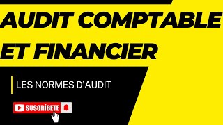 Les Normes dAudit Comptable et financier  Normes du comportement [upl. by Darach260]