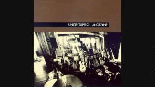 Uncle Tupelo  The Long Cut [upl. by Aenad]