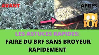 Permaculture BRF sans broyeur et rapide  bois raméal fragmenté [upl. by Yanej]