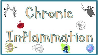 Chronic Inflammation  Causes Morphologic features Mediators Examples amp Clinical manifestations [upl. by Aneleasor]