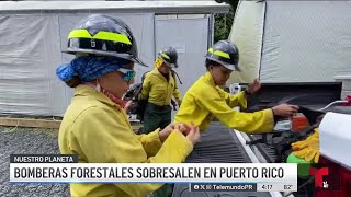 Conoce a las bomberas forestales que entrenan en El Yunque [upl. by Niveb]