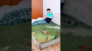 amazingb bedsheet amazing factsinhindi knowledge trendingshorts amazingfacts [upl. by Ariamat]