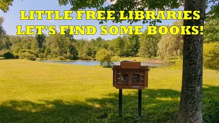 Little Free Libraries  Lets Continue The Search [upl. by Notsrik447]