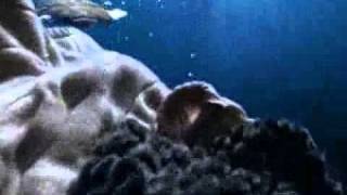 Реклама Ariston Aqualtis  Подводный мир Underwater World TV Commercial [upl. by Nathanson700]