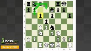 Chess Openings The Queens Gambit Declined [upl. by Aiam572]