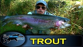 Trout fishing at Dever Springs with Graeme Pullen  Series 2  Episode 4 [upl. by Balthasar180]